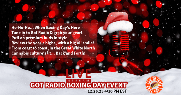 boxing day show 2025 how to train your taco