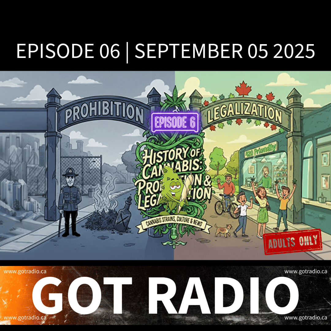 Episode 06 | How To Train Your Taco